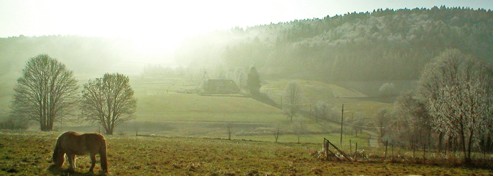 Rauhreif / Hotzenwald Online