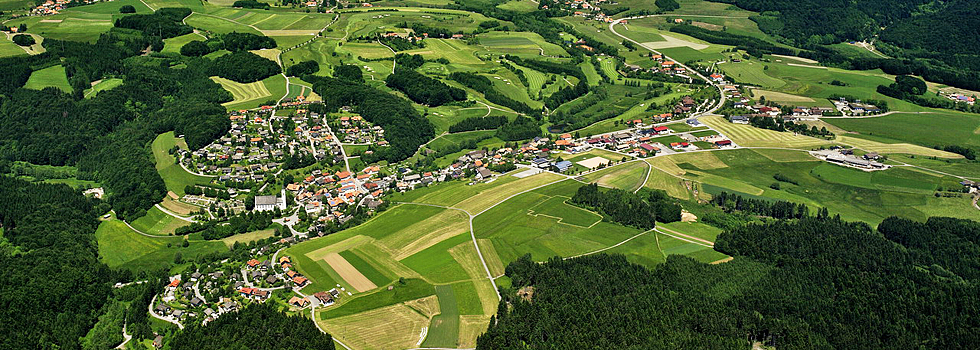 Rickenbach / Hotzenwald Online