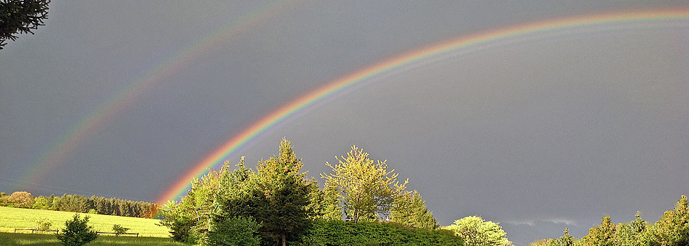 Regenbogen / Hotzenwald Online