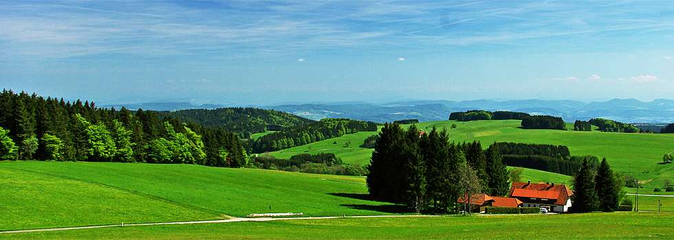 Weitsicht / Hotzenwald Online